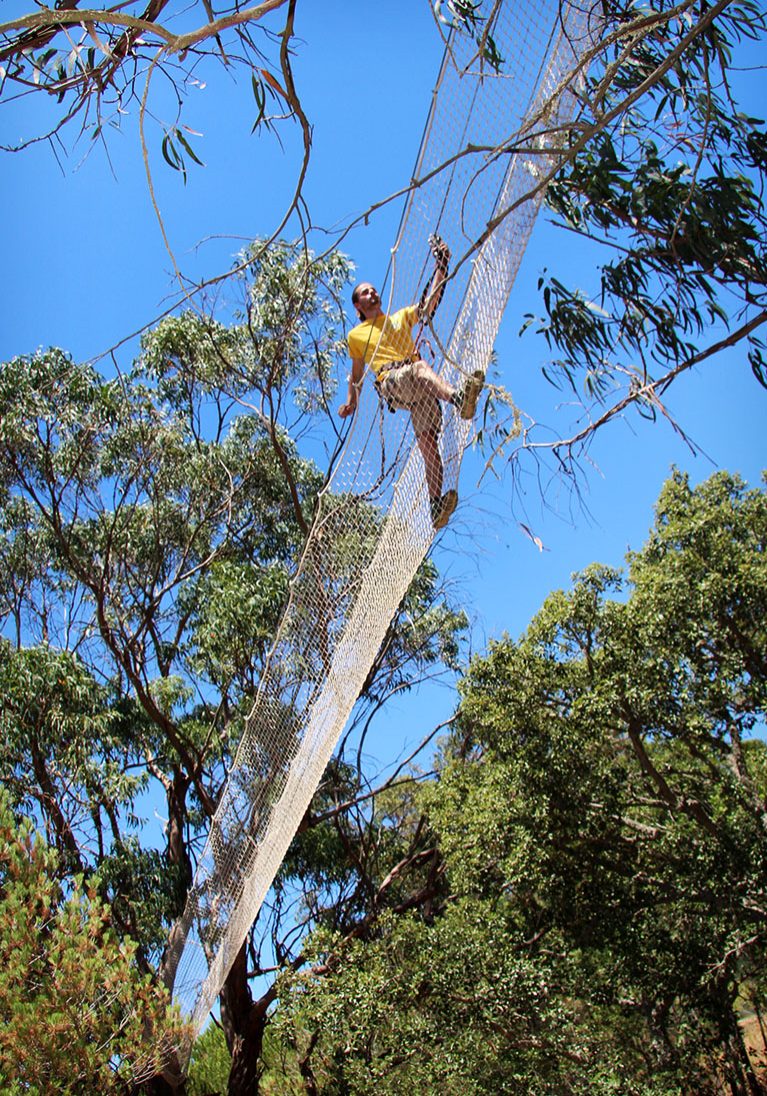 high-ropes-courses-cross-bridge