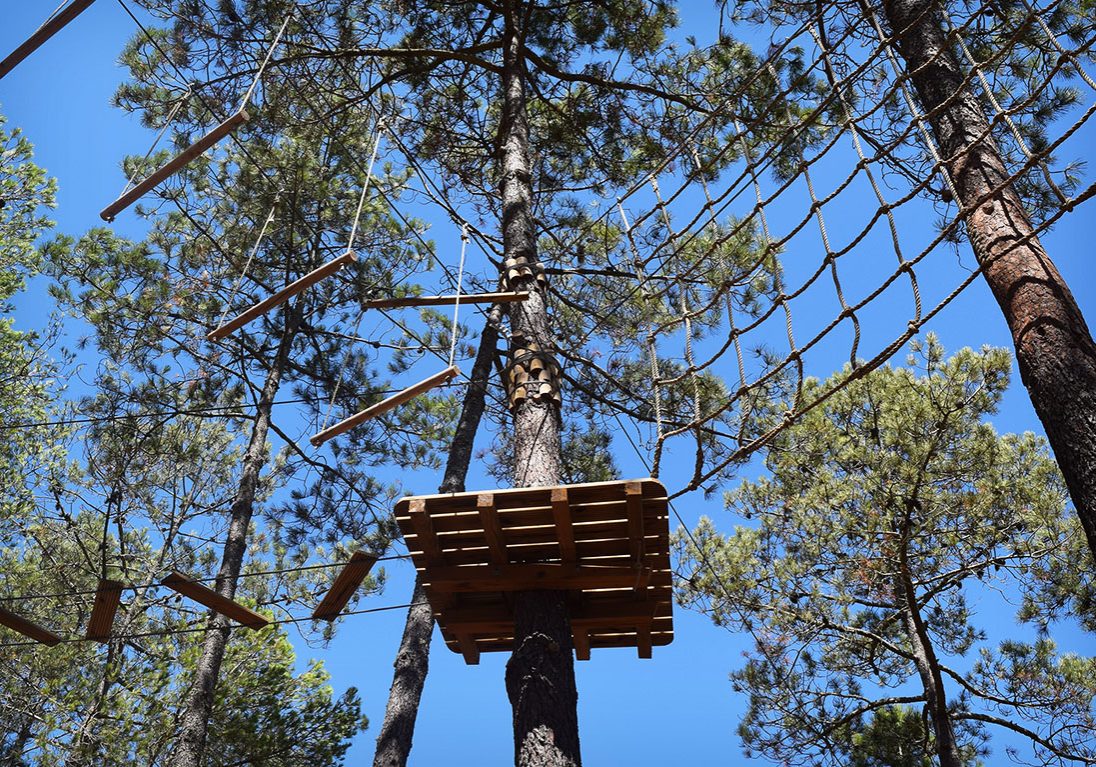 <i class="fa fa-camera" aria-hidden="true"></i> Marta Gouveia