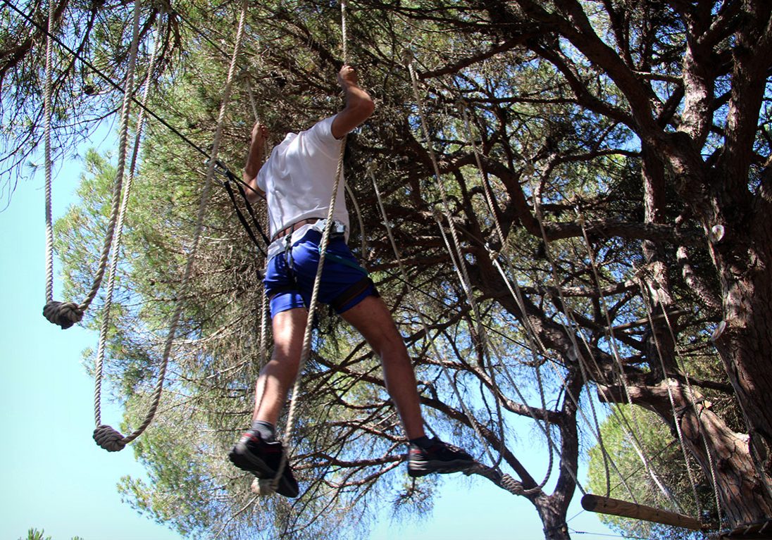 high-ropes-courses-tree