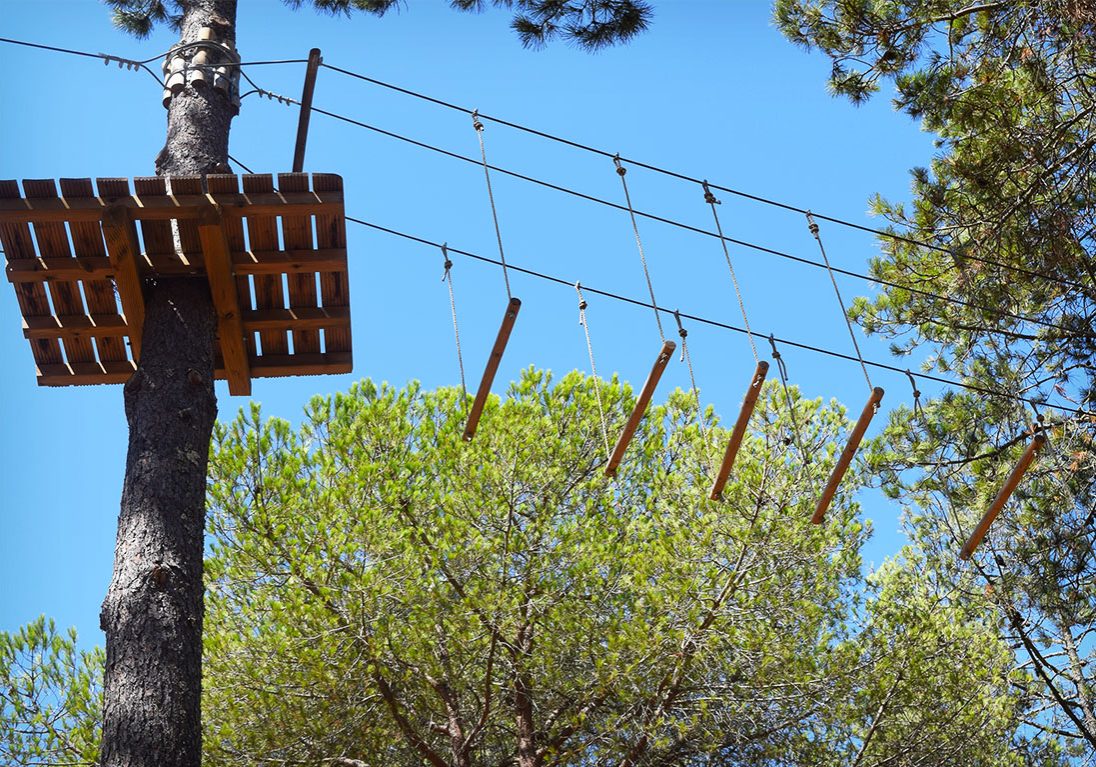 <i class="fa fa-camera" aria-hidden="true"></i> Marta Gouveia